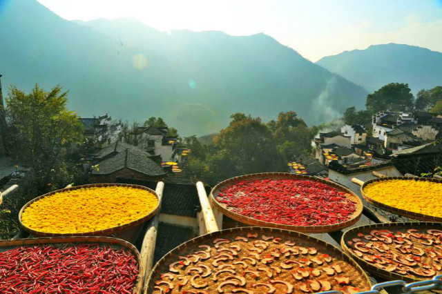 timg (1)_meitu_4 timg (1)_meitu_4