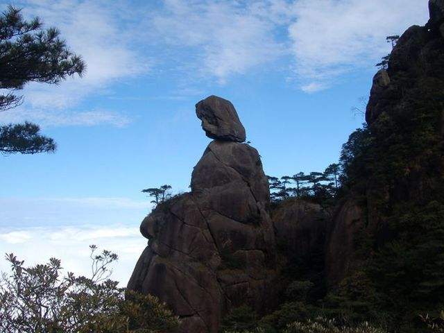 timg (1)